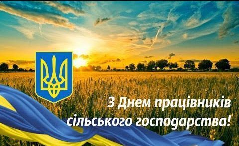 9 вересня - Міжнародний день краси: Прикмети та забобони