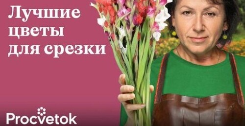 САМЫЕ КРАСИВЫЕ И СТОЙКИЕ ЦВЕТЫ ДЛЯ БУКЕТОВ ИЗ ВАШЕГО САДА!