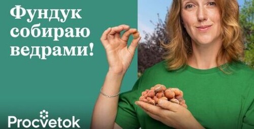 Все, что нужно знать о фундуке для хорошего урожая