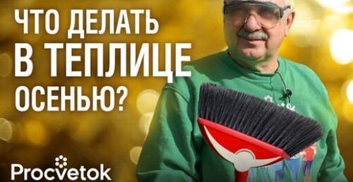 БЕЗ ФИТОФОТРЫ И КЛАДОСПОРИОЗА! Как я обеззараживаю и повышаю плодородие почвы в теплице осенью