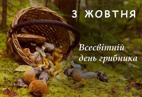 3 жовтня - Всесвітній день грибників: Прикмети та забобони