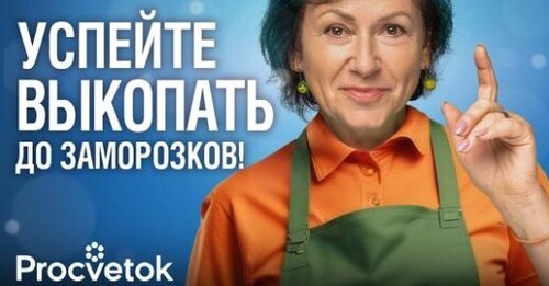 ВЫКОПАЙТЕ ЭТИ ЦВЕТЫ В ОКТЯБРЕ! 