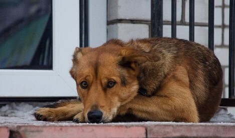 Маленькие шажочки