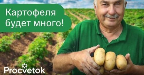 УВЕЛИЧЬТЕ УРОЖАЙ КАРТОФЕЛЯ НА 70% ЗА 15 МИНУТ! 2 приема в августе