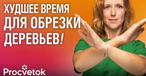 НЕ ВЗДУМАЙТЕ ОБРЕЗАТЬ ДЕРЕВЬЯ ОСЕНЬЮ пока не посмотрите это видео! Когда обрезать плодовый сад?