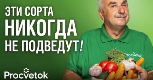 10 СОРТОВ ОВОЩЕЙ ДЛЯ НОВИЧКОВ И ЛЕНИВЫХ! Завалят урожаем при любой погоде и без особого ухода