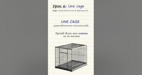 Урок 6. Une cage. Курс по существительным во французском языке