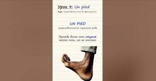 Урок 9. Un pied. Курс по существительным во французском языке