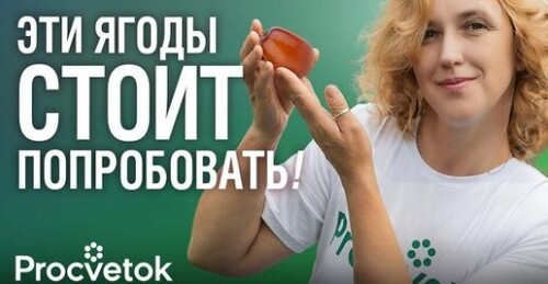 САМЫЕ УДИВИТЕЛЬНЫЕ ЯГОДЫ В МИРЕ, которые вы можете вырастить на своем участке