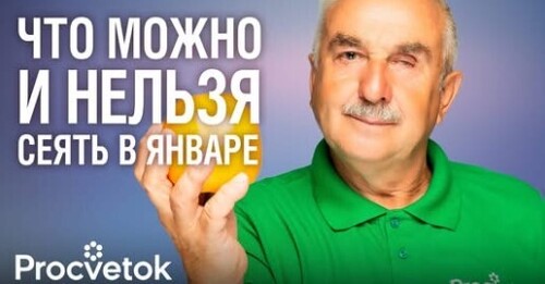 НЕ СЕЙТЕ ЭТИ ОВОЩИ И ЦВЕТЫ СЛИШКОМ РАНО! План посевов на январь