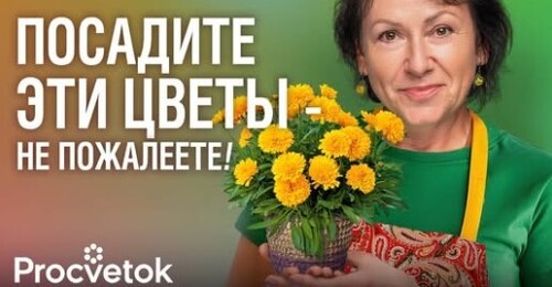 10 САМЫХ КРАСИВЫХ МНОГОЛЕТНИКОВ, от которых я никогда не откажусь!