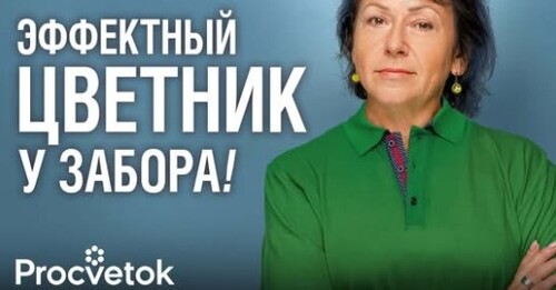 ЧТО ПОСАДИТЬ ВДОЛЬ ЗАБОРА? ТОП-10 эффектных растений, которые мигом преобразят любой забор