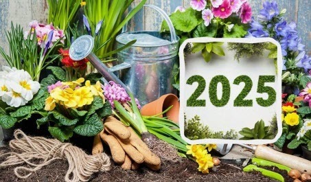 Місячний календар городника і садівника на лютий 2025 року