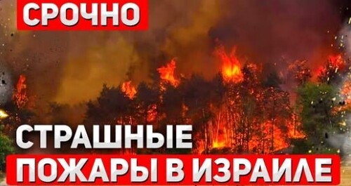 "В Израиле бушуют лесные пожары" - Сергей Ауслендер