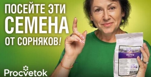 ЭТИ РАСТЕНИЯ ИЗБАВЯТ ОТ СОРНЯКОВ В ОГОРОДЕ! Что посеять весной от злостных сорняков?
