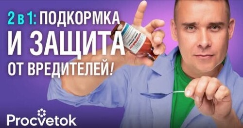 ТЛЯ, МУРАВЬИ И СЛИЗНИ НЕНАВИДЯТ ЭТО АПТЕЧНОЕ СРЕДСТВО, а растения наоборот быстро растут и зеленеют
