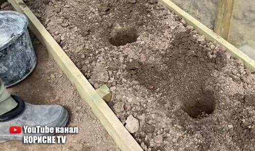 У лунку при посадці огірків додайте столову ложку цього. Огірки завалять урожаєм!