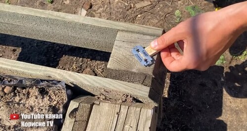 Як легко прорідити моркву! Мій інструмент у дії, економе час і сили