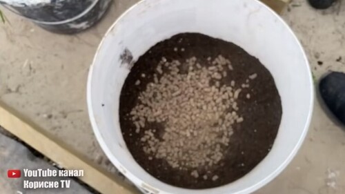 З двох огірків урожай більше і раніше чим з усього городу, при такому вирощуванні!