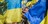 "Чому Україна «неідеальна жертва» в очах світу" - Олександра Матвійчук