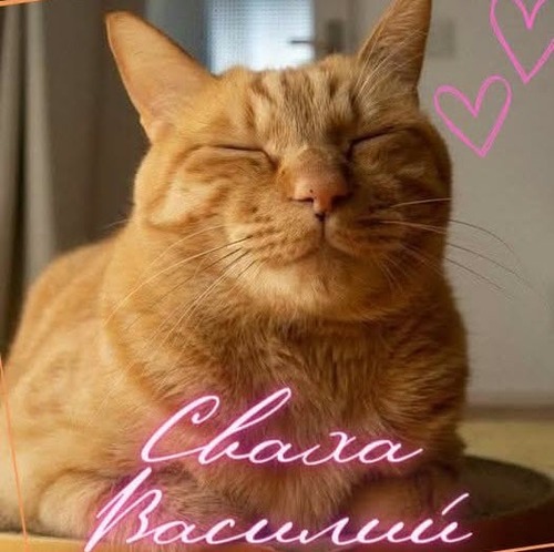 СВАХА ВАСИЛИЙ