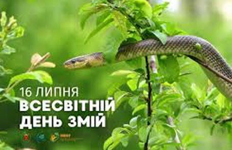 16 липня - Всесвітній день змій: Прикмети та забобони