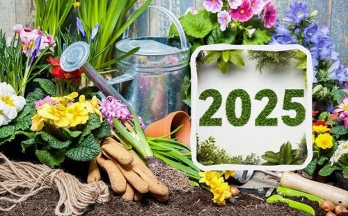 Місячний календар садівника-городника на липень 2025