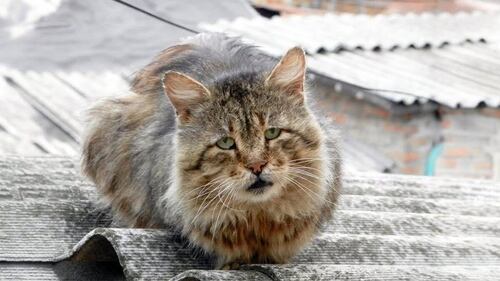 ВЗГЛЯД В СЕБЯ
