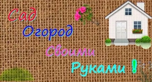 Рецепт удивительной подкормки томатов, о которой больше нигде не расскажут!