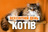 8 серпня - Міжнародний день кота: Прикмети та забобони