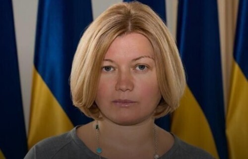 "Про територіальні ініціативи депутатів СН" - Ірина Геращенко