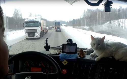 СУДЬБА