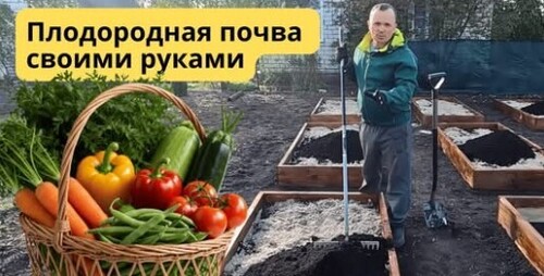Идеальная земля для грядок: простой рецепт!