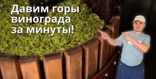 Как быстро передавить виноград на вино — лучший способ!