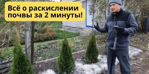 Известкование, которое перевернёт ваш огород!