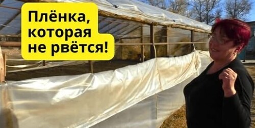 Какую плёнку выбрать для теплицы, чтобы не менять её каждый год