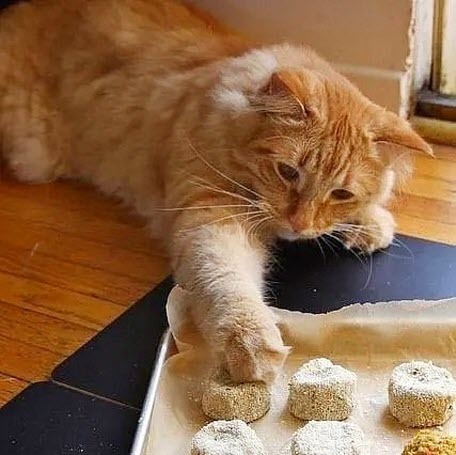 К кофе с печенькой