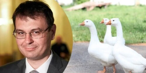 "Пишут Гетманцев задушил гуся и приобрел квартиру во Франции" - Кирилл Данильченко