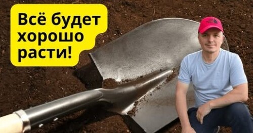 Как улучшить почву осенью?  Ошибки садоводов, которые снижают урожай