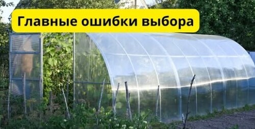 Как выбрать поликарбонатную теплицу: не ошибитесь!