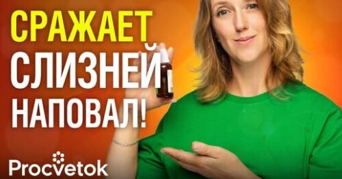 СЛИЗНИ БОЯТСЯ ЭТОГО КАК ОГНЯ! Лучшие средства от слизней – протестировали и показываем результат