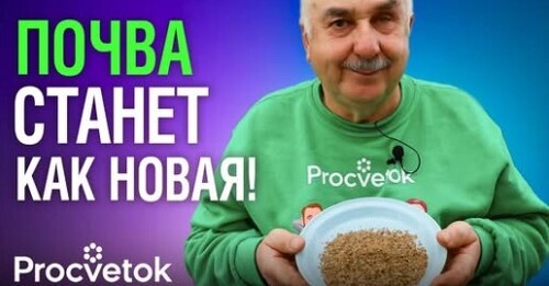 ЭКСПРЕСС-МЕТОД ОЗДОРОВЛЕНИЯ ПОЧВЫ!