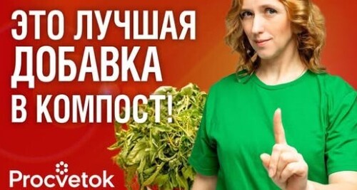 БОЛЬНУЮ БОТВУ, ОПАД И ДАЖЕ СОРНЯКИ С СЕМЕНАМИ МОЖНО КЛАСТЬ В КОМПОСТ, если знать этот важный нюанс