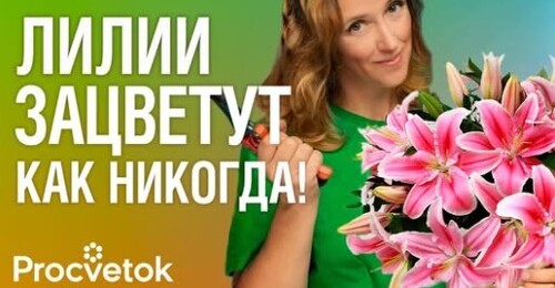 ВСЕ О ЛИЛИЯХ ОСЕНЬЮ: посадка, пересадка, размножение, деление, уход
