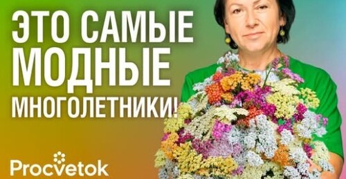 ВСЕ ГОНЯЮТСЯ ЗА ЭТИМИ МНОГОЛЕТНИКАМИ В 2025 ГОДУ! Красивые и неприхотливые многолетние цветы