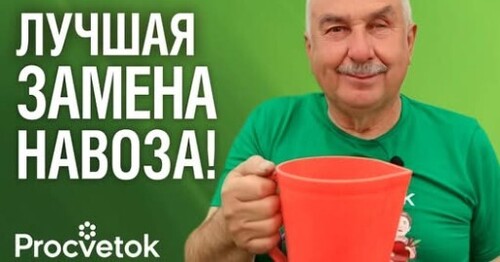 В 100 РАЗ ЛУЧШЕ НАВОЗА И БЕСПЛАТНО! Вот что внести в почву с осени для улучшения плодородия почвы