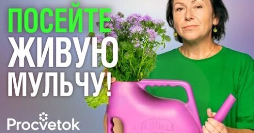 РАЗБРОСАЙТЕ СЕМЕНА ЭТИХ ДВУХ РАСТЕНИЙ и мульчирование грядок не понадобится!