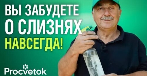 СЛИЗНИ И УЛИТКИ ИСЧЕЗНУТ, если осенью посыпать грядки этим порошком!