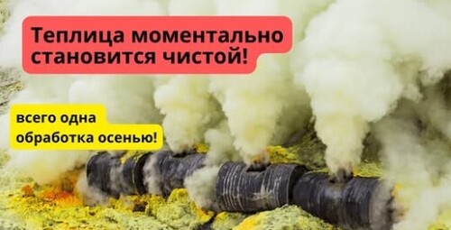 Всего одна обработка, и теплица очищается и от болезней, и от вредителей!