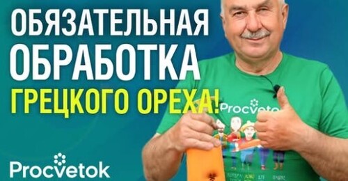 САМАЯ ВАЖНАЯ ОБРАБОТКА ГРЕЦКОГО ОРЕХА ОСЕНЬЮ! А также особенности обрезки и подкормки